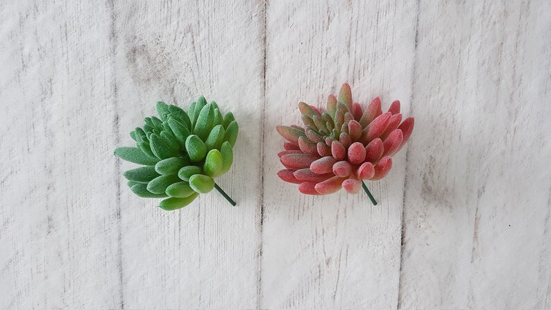May include: Two artificial succulent plants, one green and one red, on a white wooden background.