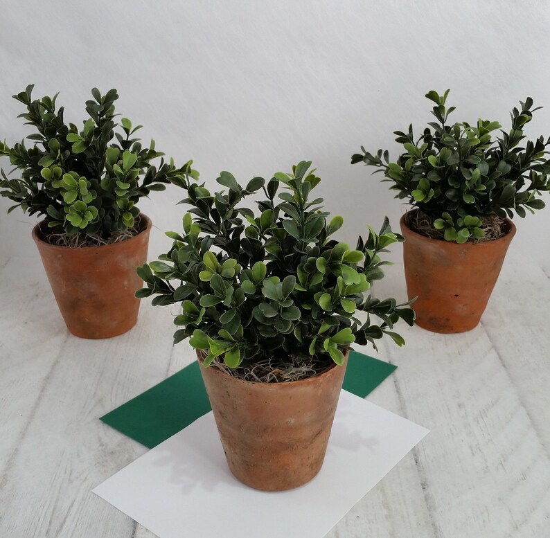 Artificial green box plants in vintage terracotta pots Realistic faux houseplant Small green indoor planter Pot plant Clay pot Gifts for her