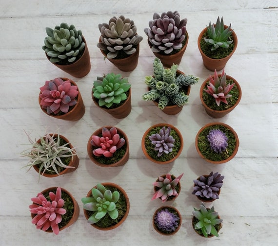 Artificial Succulent in Vintage Terracotta Pot, Faux Plant Decor - Etsy