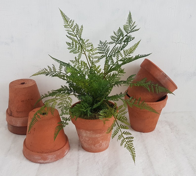 Fern Plant in Old Terracotta Pot Artificial Green Houseplants Etsy UK