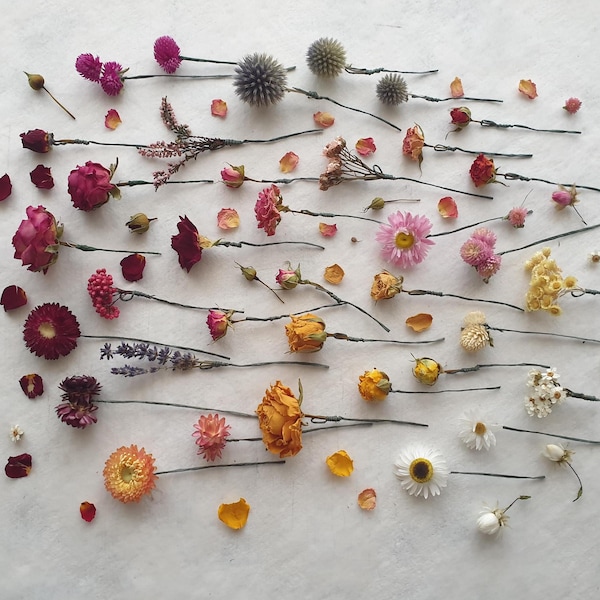 Small dried flower hair pins Handmade floral wedding accessories Bridesmaid Bride Prom & Party Pink Purple Blue White Blush Yellow Burgundy