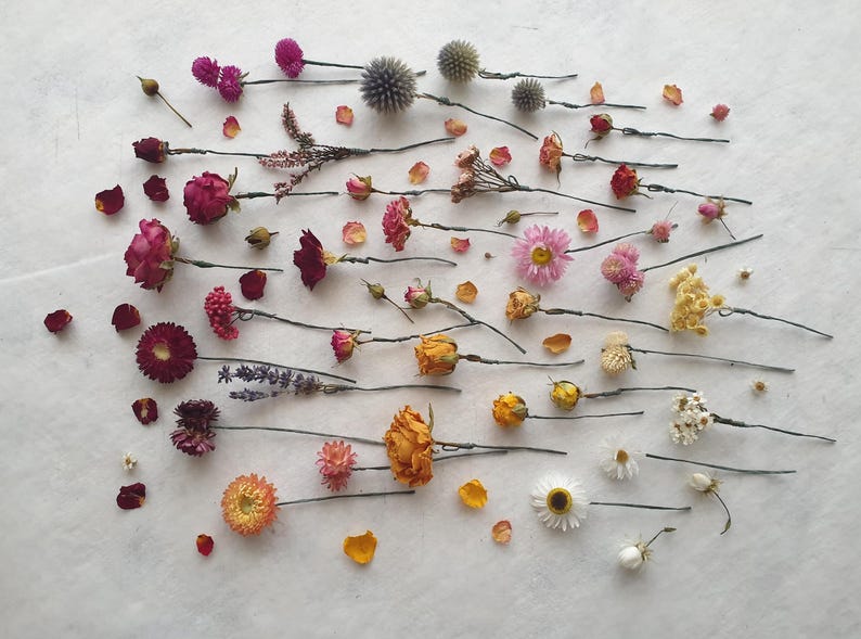 May include: A collection of dried flowers and plants arranged on a white surface. The flowers are on thin wires and include pink, purple, yellow, and white flowers.