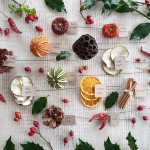 May include: A flat lay of various dried fruits, spices, and other ingredients, including red apple, green apple, orange slice, lime, red pepper, chilli pepper, cinnamon sticks, and pine cones. Each item is labelled with a handwritten tag.