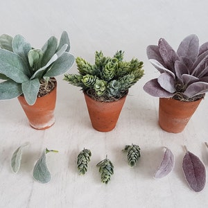 May include: Three potted plants with faux leaves. Two plants have light green leaves with a fuzzy texture. One plant has purple leaves with a fuzzy texture. All plants are in terracotta pots.