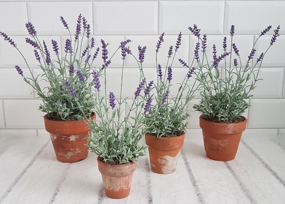 Artificial lavender deals