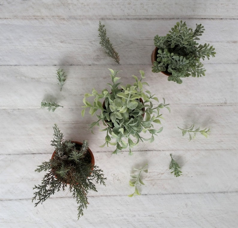 Set 3 little green plants in old terracotta pots Artificial Etsy