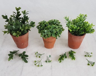 Faux Boxwood Plants: Trio Set in Hand-Thrown Vintage Terracotta Pots