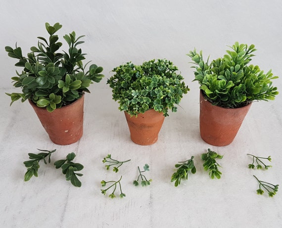 Faux Boxwood Plants: Trio Set in Hand-thrown Vintage Terracotta Pots - Etsy
