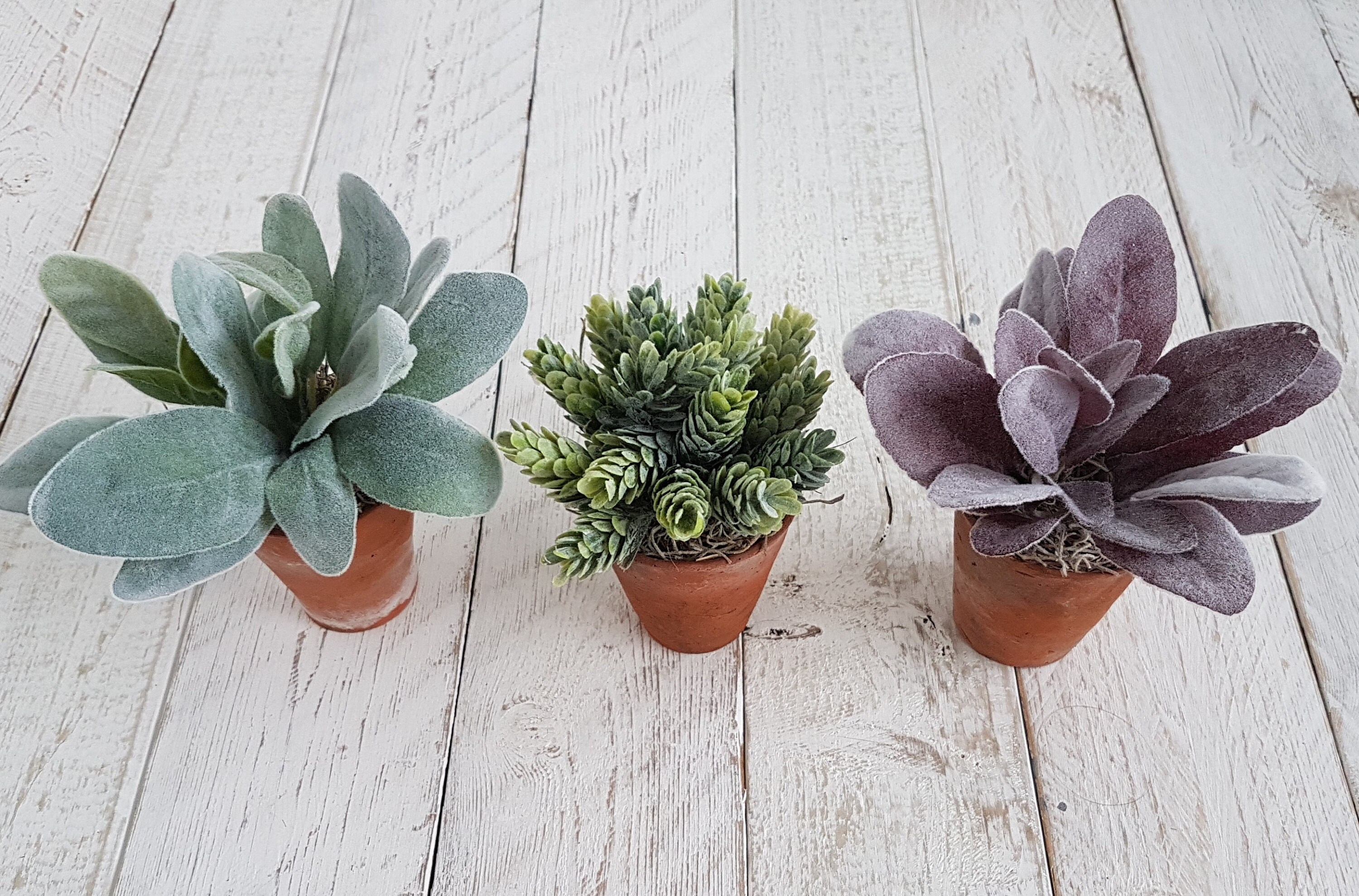 Set 3 Lambs Ear & Succulent Faux Plants in Old Terracotta Pots Etsy