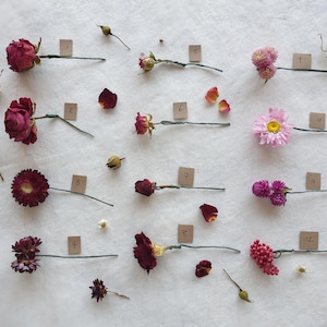 May include: A collection of 12 dried flowers and flower buds arranged on a white surface. The flowers are labeled with numbers 1 through 12. The flowers include roses, carnations, and daisies in shades of pink, red, and white.