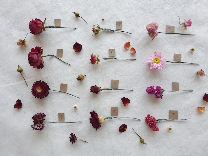 May include: A collection of 12 dried flowers and flower buds arranged on a white surface. The flowers are labeled with numbers 1 through 12. The flowers include roses, carnations, and daisies in shades of pink, red, and white.
