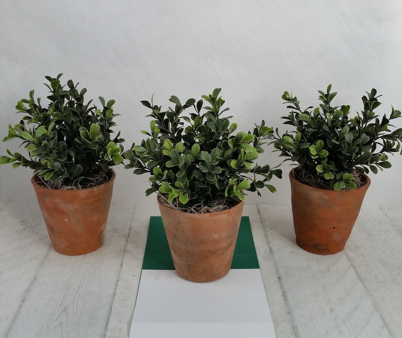 Artificial green box plants in vintage terracotta pots Realistic faux houseplant Small green indoor planter Pot plant Clay pot Gifts for her