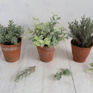 Set of 3 Faux Green Plants: Vintage Terracotta Pots, Sage, Grey Indoor Trio