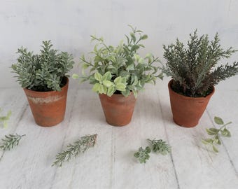 Set of 3 Faux Green Plants: Vintage Terracotta Pots, Sage, Grey Indoor Trio