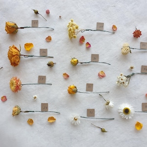 May include: A collection of dried flowers and plants arranged on a white surface. Each flower is labeled with a number. The flowers include roses, daisies, and other types of wildflowers.