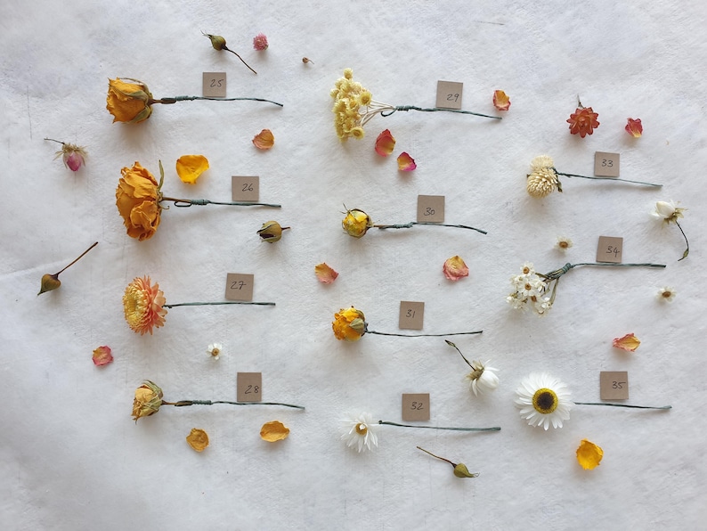 May include: A collection of dried flowers and plants arranged on a white surface. Each flower is labeled with a number. The flowers include roses, daisies, and other types of wildflowers.
