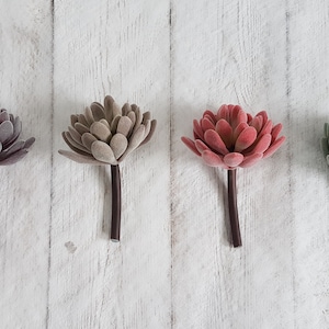 May include: Four artificial succulent plants with different colored leaves. The succulents are arranged in a row on a white wooden background. The succulents are all the same size and shape, but they have different colors of leaves. The first succulent has purple leaves, the second has brown leaves, the third has pink leaves, and the fourth has green leaves.