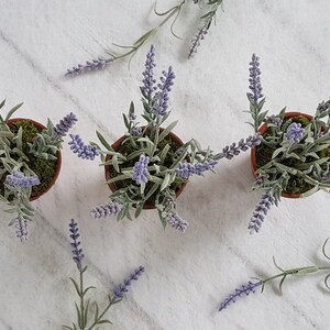 May include: Three small potted lavender plants with purple flowers and green leaves. The plants are arranged in a row on a white marble surface.