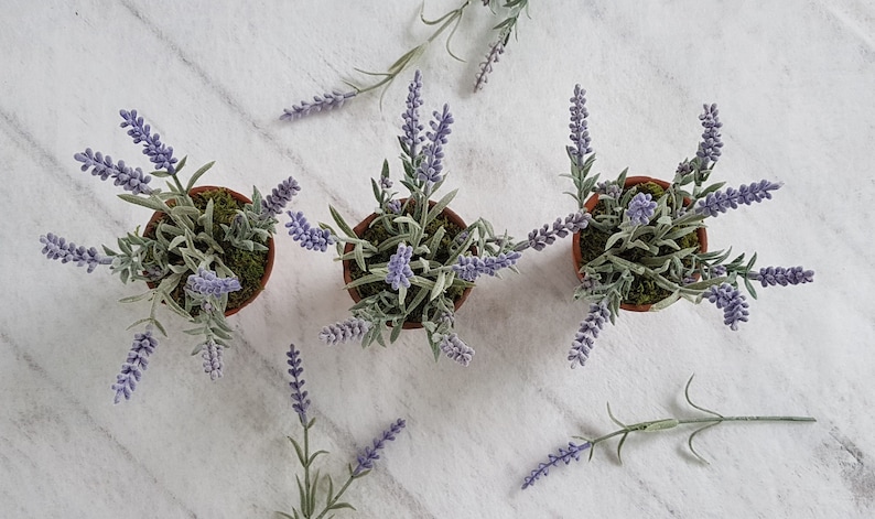 May include: Three small potted lavender plants with purple flowers and green leaves. The plants are arranged in a row on a white marble surface.