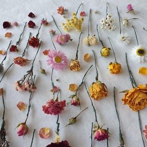 May include: Dried flowers and foliage arranged on a white surface. The flowers include roses, daisies, and other blooms in shades of pink, yellow, and white.
