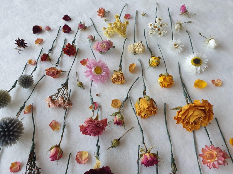 May include: Dried flowers and foliage arranged on a white surface. The flowers include roses, daisies, and other blooms in shades of pink, yellow, and white.