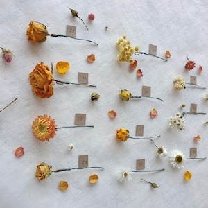May include: A collection of dried flowers and plants, including roses, daisies, and other botanicals, arranged on a white surface. Each flower is labeled with a number.