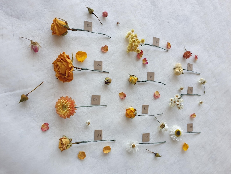 May include: A collection of dried flowers and plants, including roses, daisies, and other botanicals, arranged on a white surface. Each flower is labeled with a number.