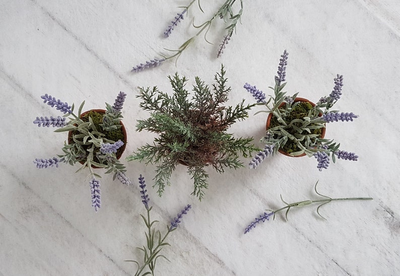 May include: Three potted plants on a white marble surface. Two of the plants are lavender and one is a green bush. The lavender plants are in brown pots with green moss.