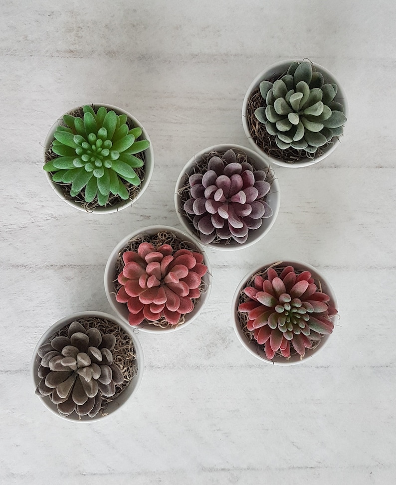Artificial succulent plant in white pot Faux succulents Etsy