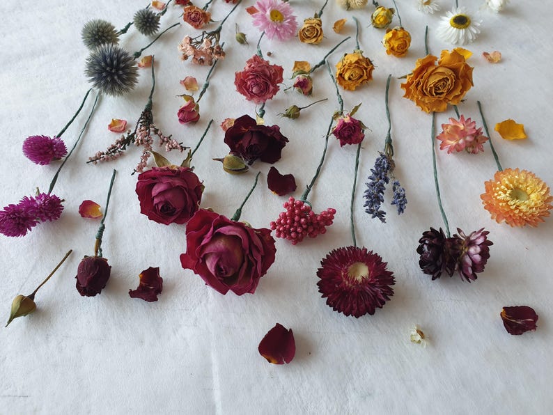 May include: Assortment of dried flowers and plants, including roses, lavender, and thistle, arranged on a white surface. The flowers are in various shades of pink, red, yellow, and orange.