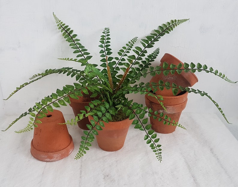 Fern Plant in Old Terracotta Pot Artificial Green Houseplants Etsy UK