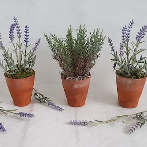Set 3 artificial plants in old terracotta pots Faux lavender green sage grey plants small Vintage Indoor planter plant trio Gifts for her