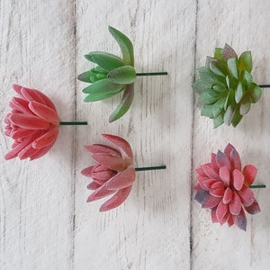 May include: Five artificial succulent plants with green and pink leaves. The plants are on a white wooden background.