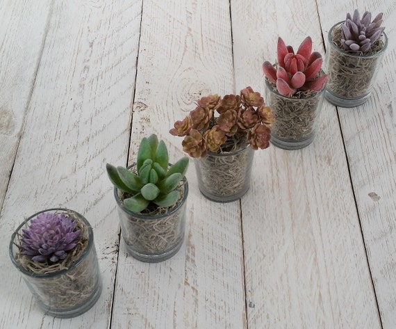 Succulent Plants Artificial Green Pink Purple Grey Small Faux Etsy