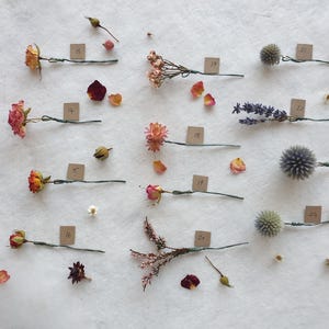 May include: A collection of dried flowers and plants arranged on a white surface. The flowers are pinned to the surface with wire and labeled with numbers. The flowers include roses, lavender, thistle, and heather.