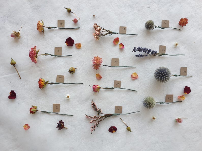 May include: A collection of dried flowers and plants arranged on a white surface. The flowers are pinned to the surface with wire and labeled with numbers. The flowers include roses, lavender, thistle, and heather.