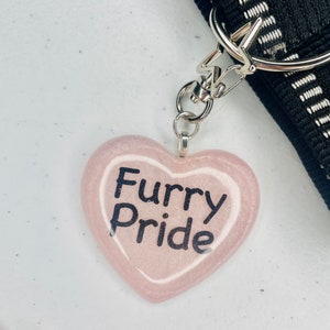 collar CHARM  name tag nicknames pet names