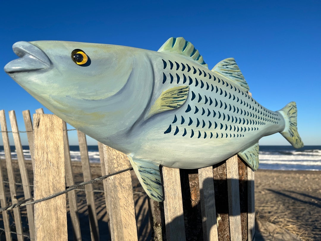 Striped Bass Wall Art Sculpture Etsy