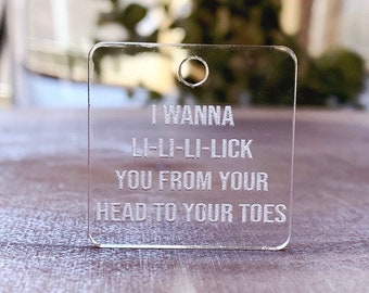 Funny Dog Tags, I Wanna Lick You From Your Head To Your Toes Cast Acrylic Dog Tag