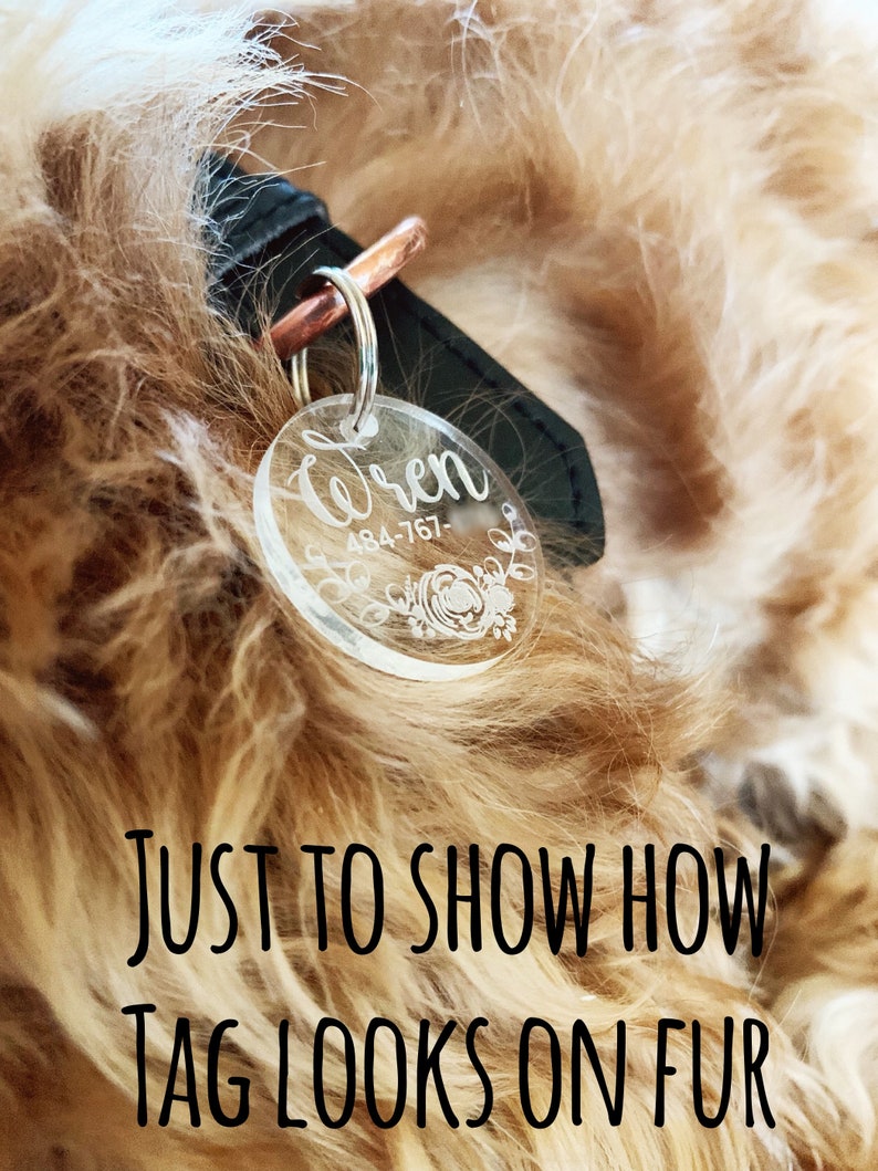 May include: A clear round dog tag with the name "Wren" and phone number "484-767" engraved on it. The tag is attached to a black leather collar and is hanging on a dog's fur.