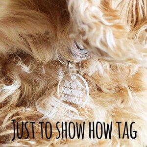 May include: A clear acrylic dog tag with the text "Mom's Favorite Asshole" in white lettering. The tag is hanging from a gold chain and is worn by a light brown dog.