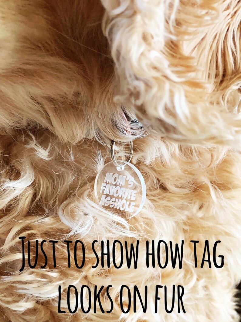 May include: A clear acrylic dog tag with the text "Mom's Favorite Asshole" in white lettering. The tag is hanging from a gold chain and is worn by a light brown dog.