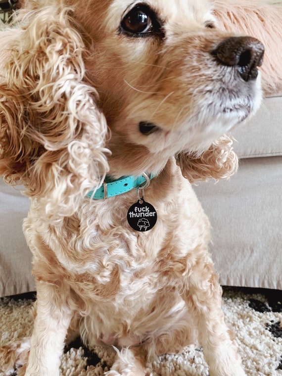 deaf dog collar tag