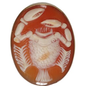 May include: A cameo brooch featuring a detailed carving of a fish with a crab on top. The cameo is set in a gold tone oval frame and is made of shell.
