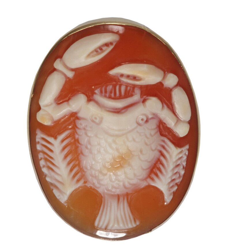 May include: A cameo brooch featuring a detailed carving of a fish with a crab on top. The cameo is set in a gold tone oval frame and is made of shell.