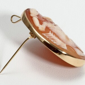 May include: A cameo brooch with a gold setting. The cameo features a carved design of a woman's profile.