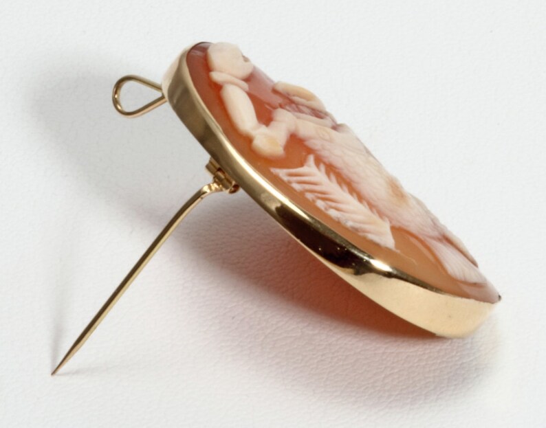 May include: A cameo brooch with a gold setting. The cameo features a carved design of a woman's profile.