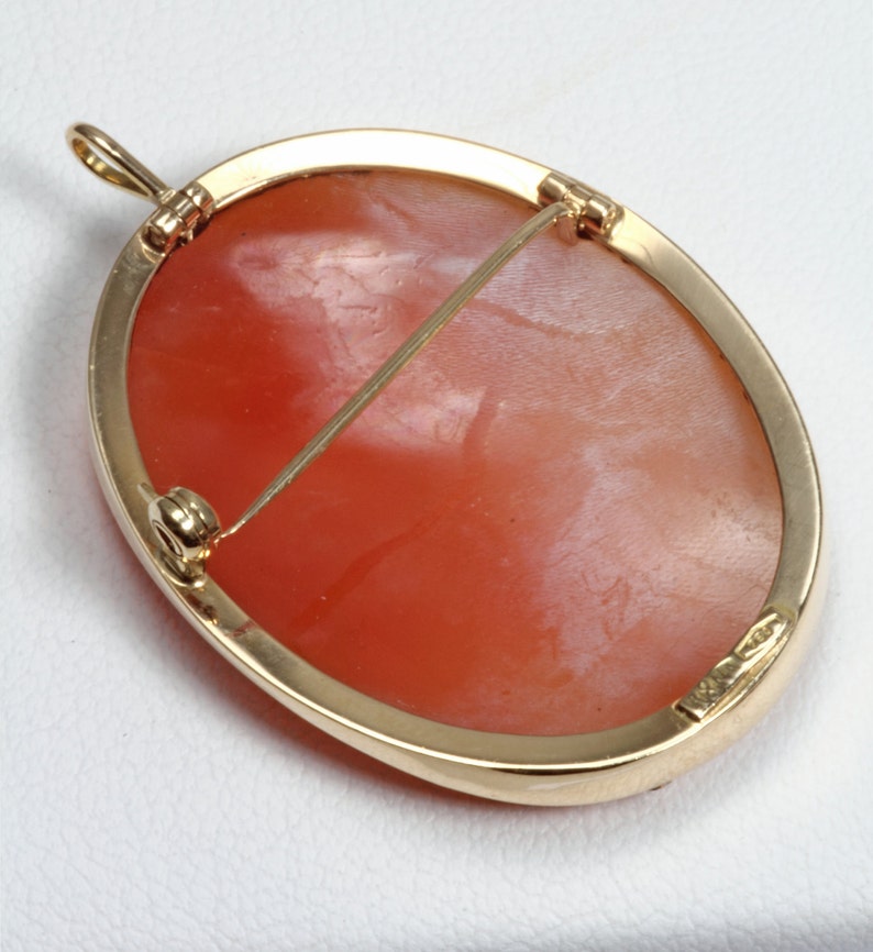 May include: A cameo pendant with a gold setting. The cameo is a light pink color and has a detailed carving. The pendant has a pin back.