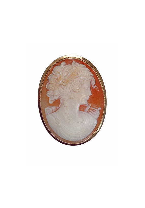 Beautiful brooch and pendant carved cameo with wom