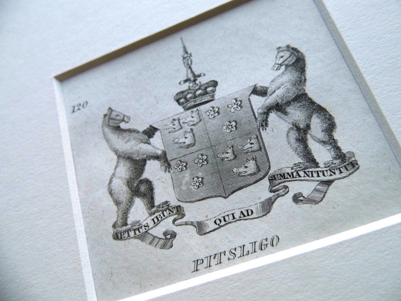 PITSLIGO Antique Scottish heraldry engraving 1834 mounted print family coat of arms
